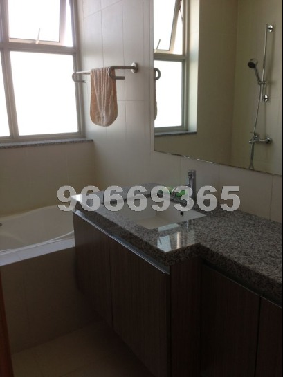 The Metropolitan Condominium thumbnail photo
